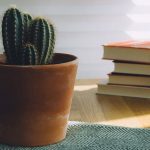 Post format gallery blogs